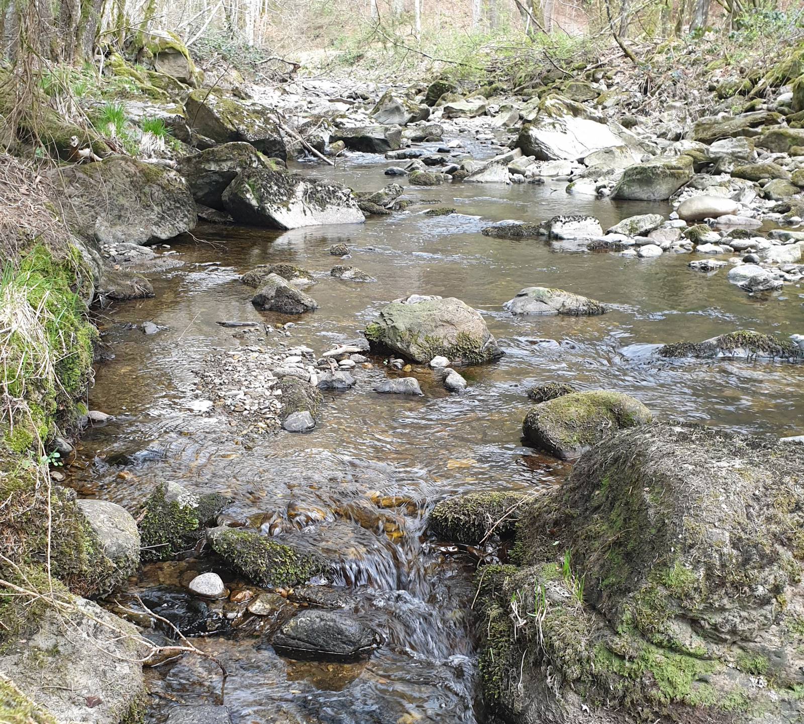 Geheimtip für Wanderer - der Hartmannsreiter Stausee Symbolfoto