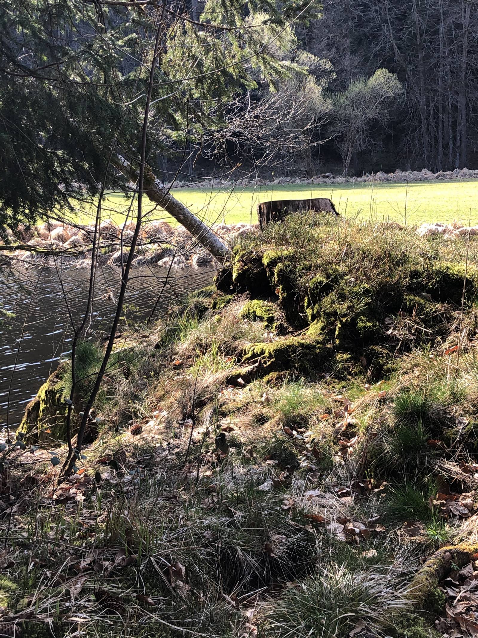 Wir nehmen euch mit in... Symbolfoto