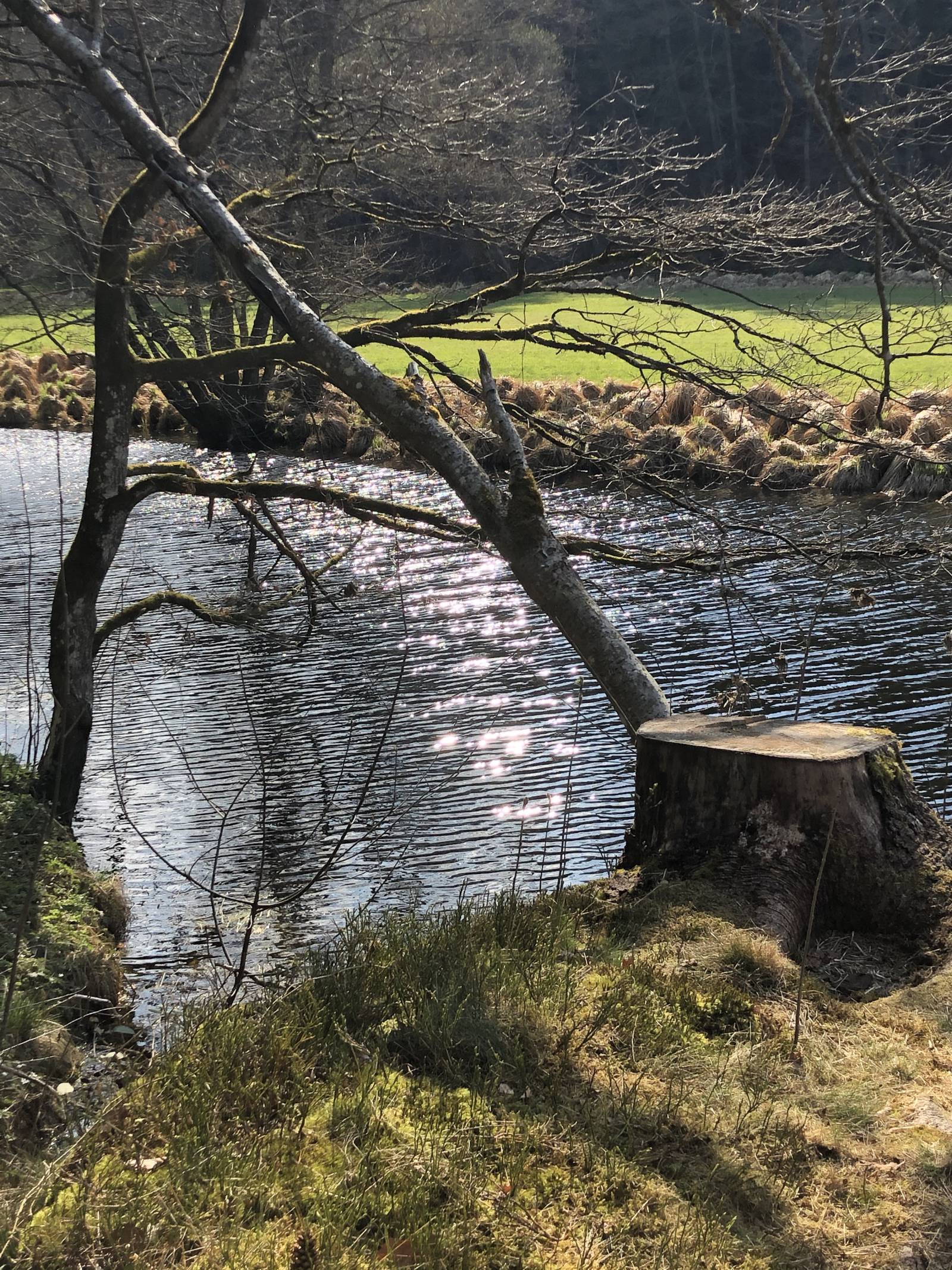 Wir nehmen euch mit in... Symbolfoto