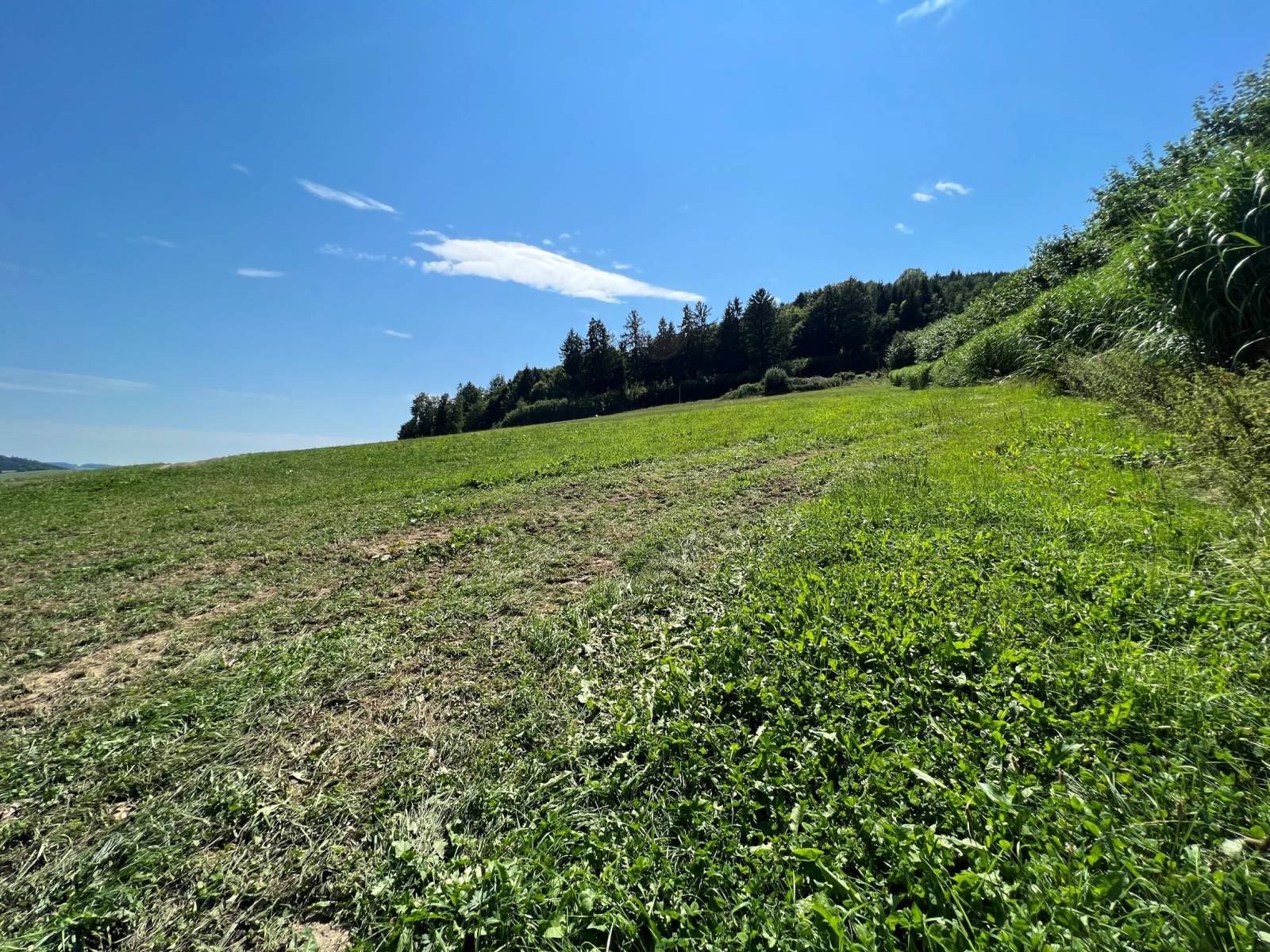 Bauernhof -Neubau- Symbolfoto