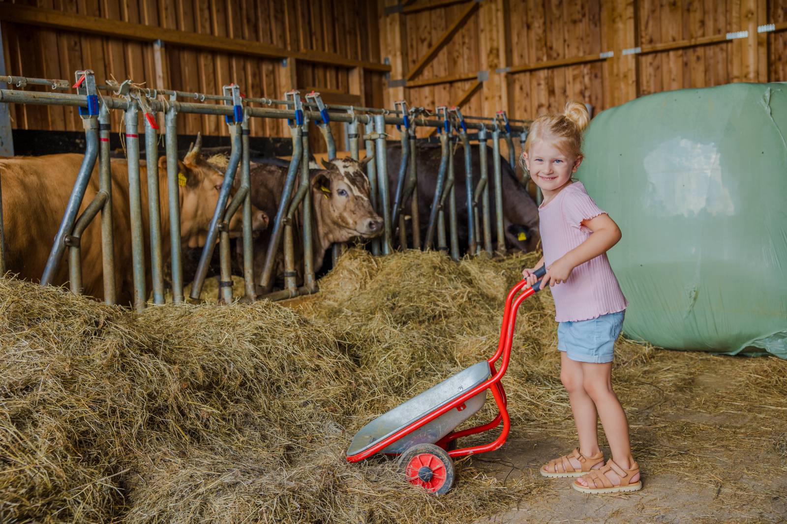 Mit Kindern den Bayerischen Wald erkunden – Heimaturlaub für die ganze Familie Symbolfoto