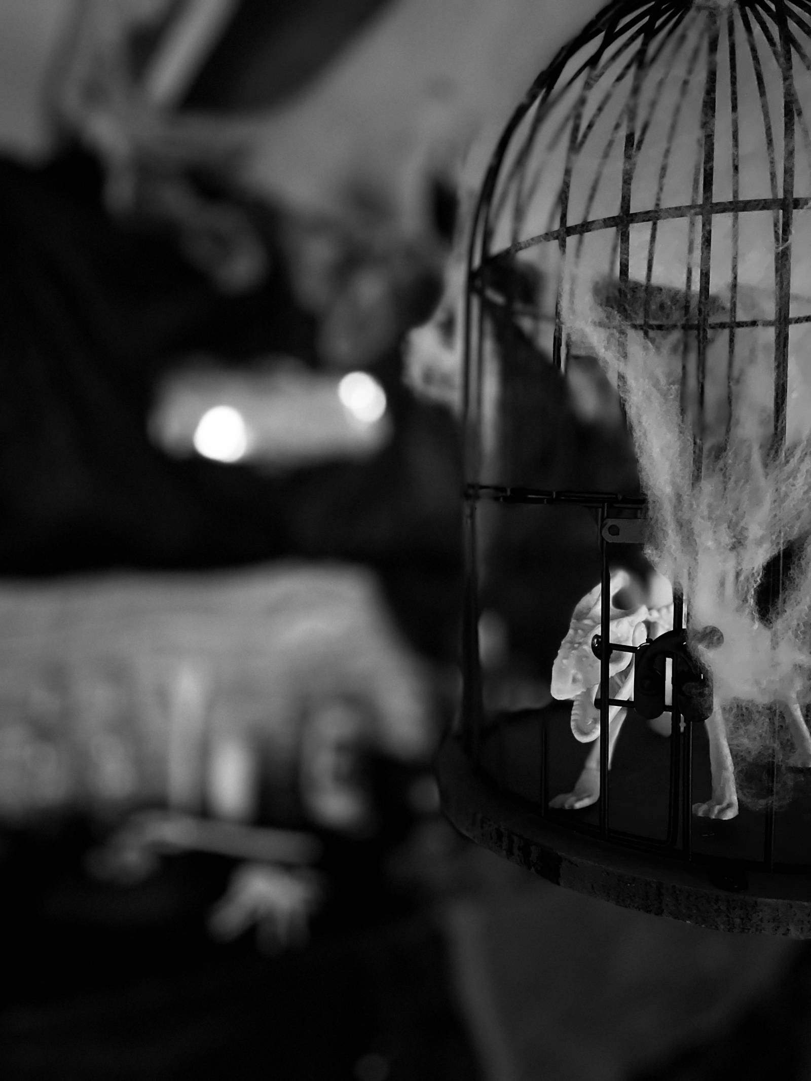 Halloween 2023 Symbolfoto