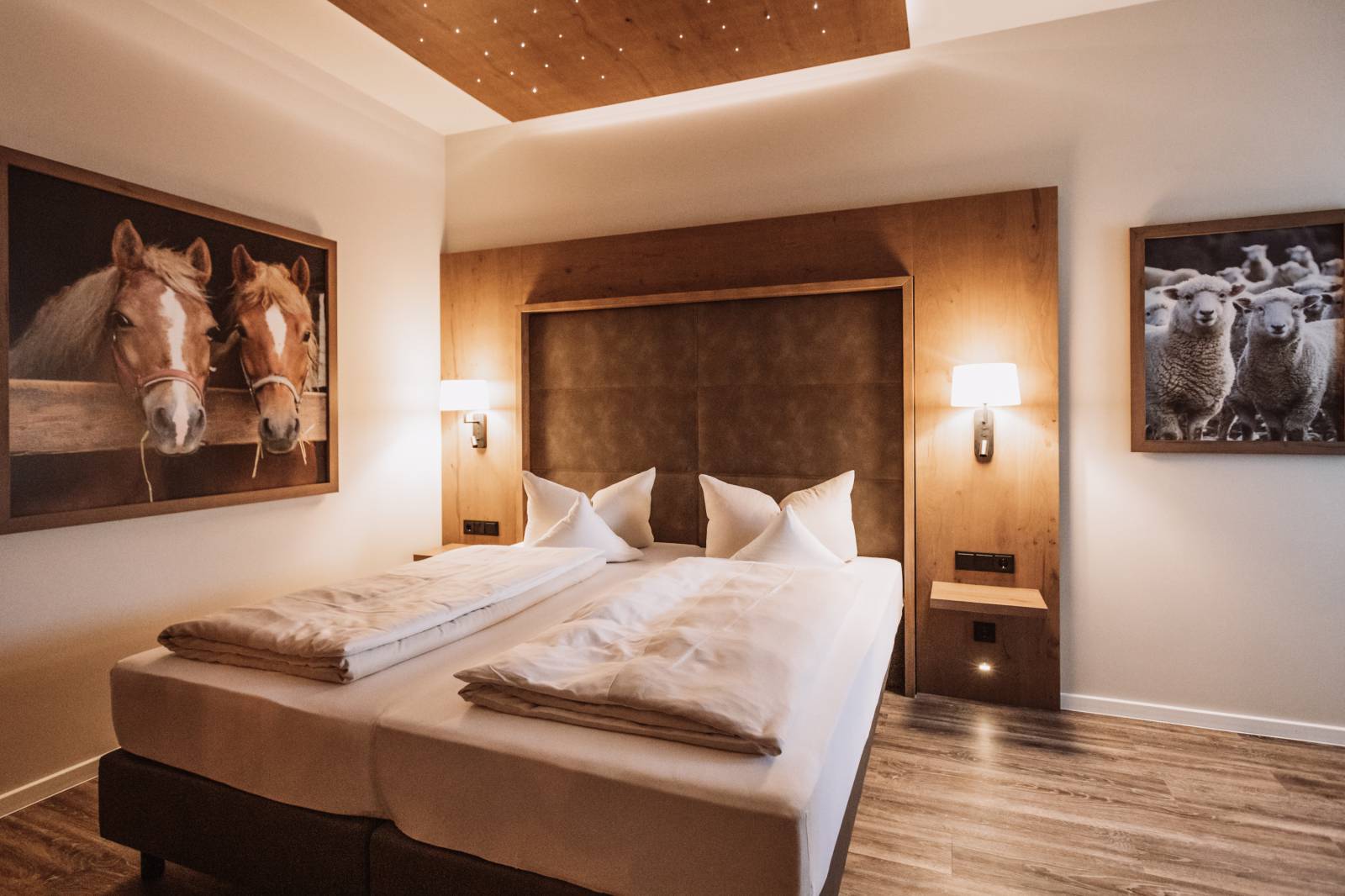 Erneuerung Apartments - Update Symbolfoto