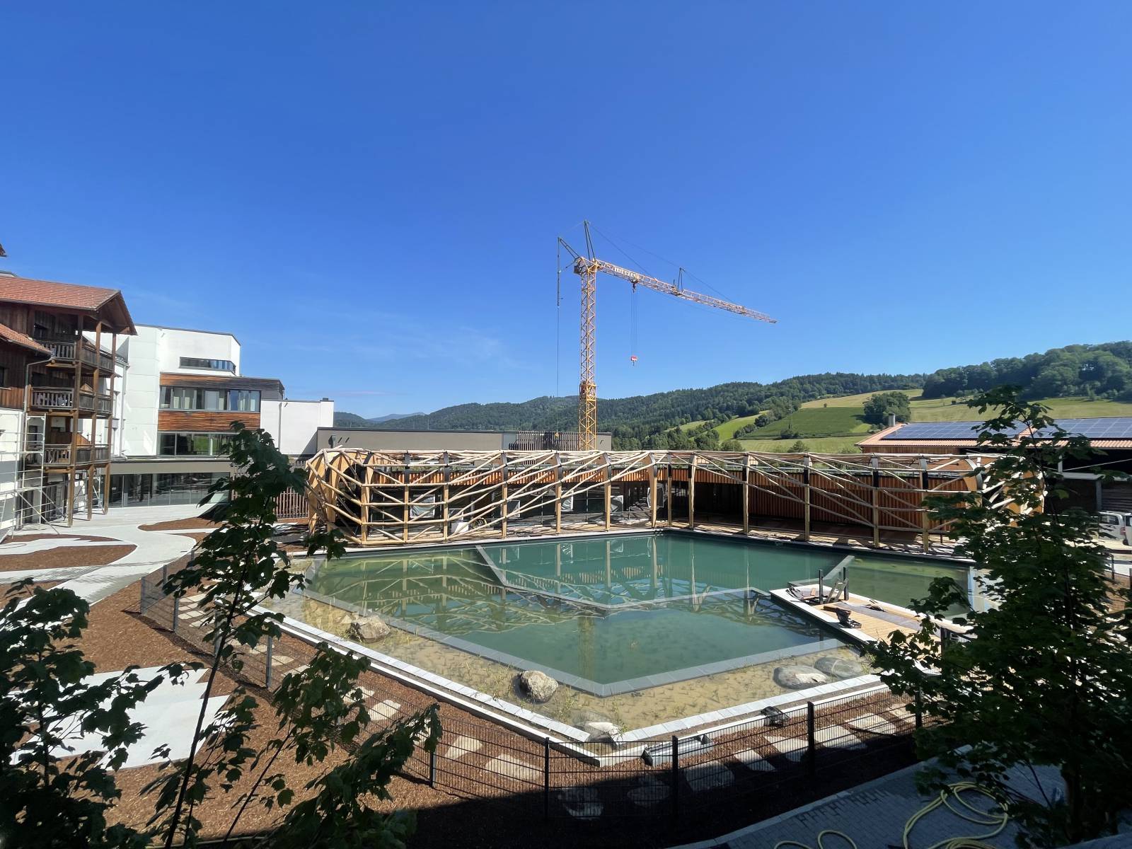 Neuer Naturteich 2025  Symbolfoto