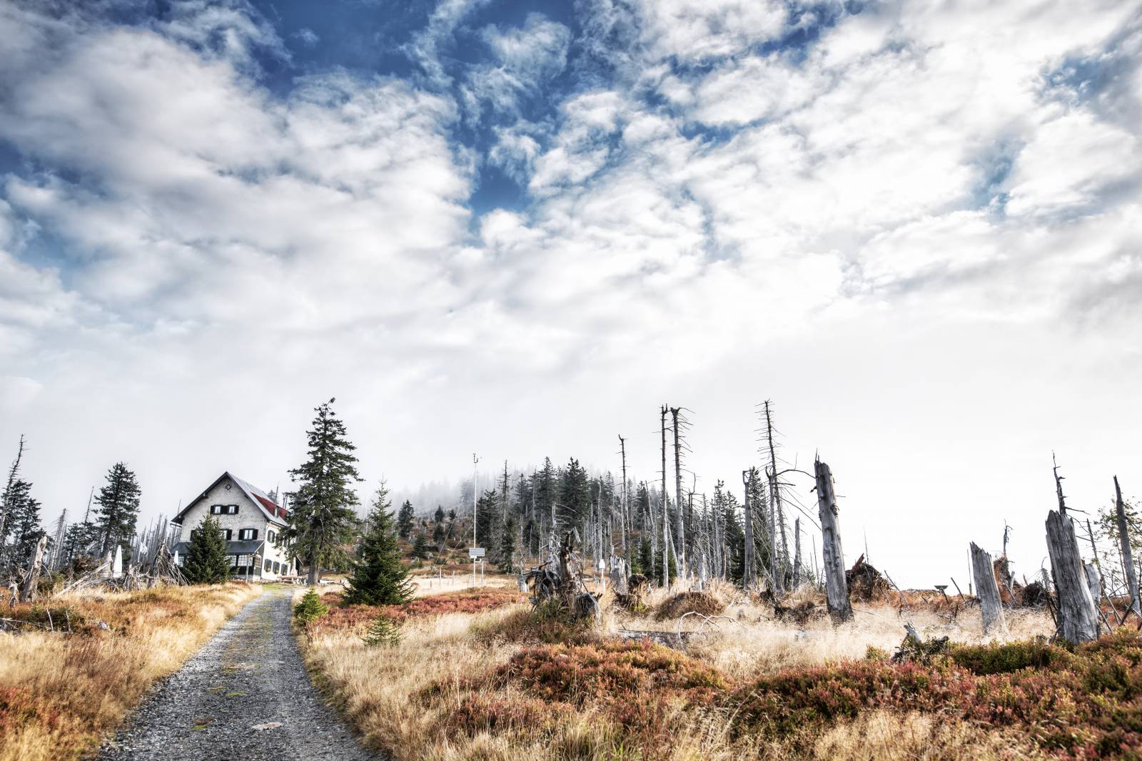Slow Travel im Bayerischen Wald Symbolfoto