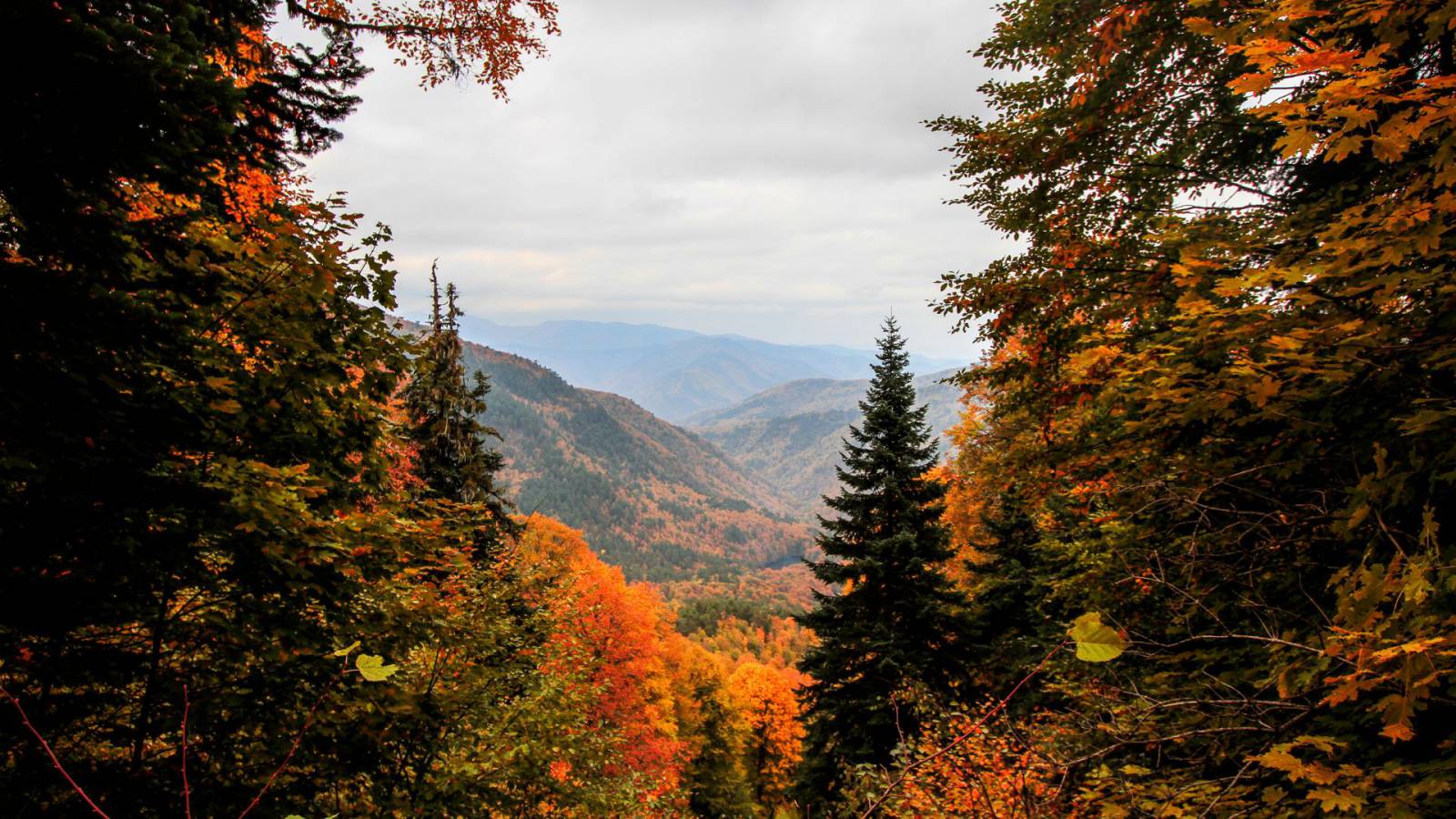 Herbstzeit ist Genießerzeit im Schreinerhof Symbolfoto