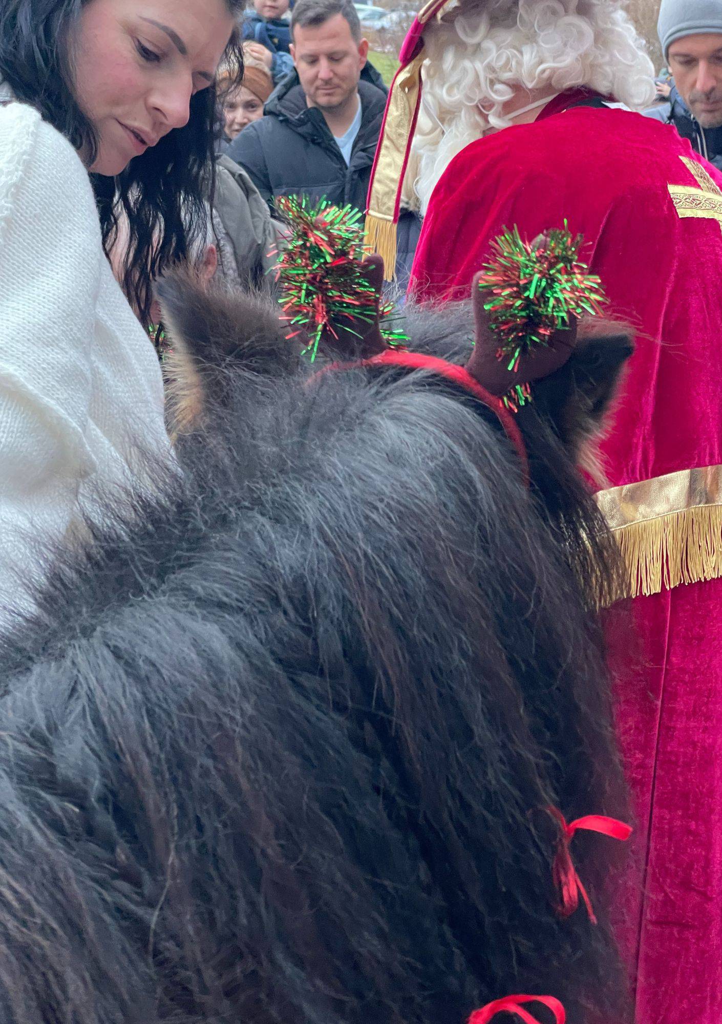 Ho, Ho, Ho im Bayerischen Wald: Der Nikolaus zu Besuch im Schreinerhof Symbolfoto