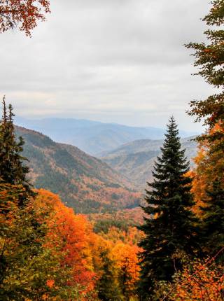 Herbstzeit ist Genießerzeit im Schreinerhof Symbolfoto
