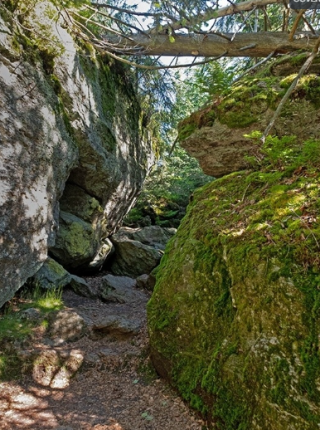 Familienwanderung auf dem Rundweg „Haselhuhn“ Symbolfoto