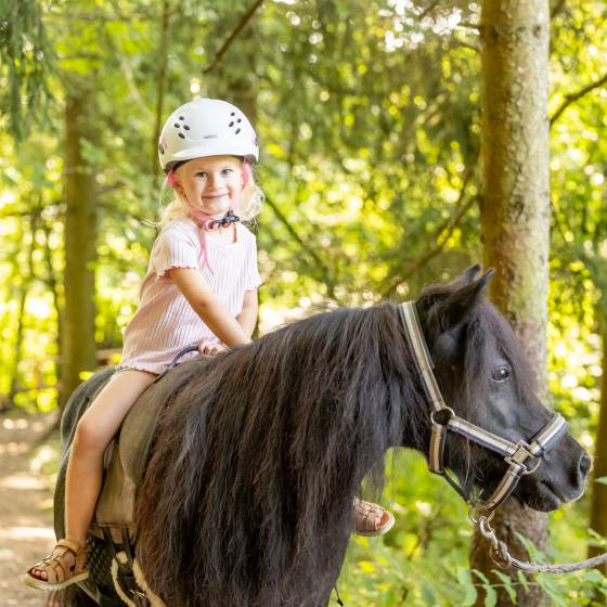 Reiturlaub für Pferdeliebhaber! image #1