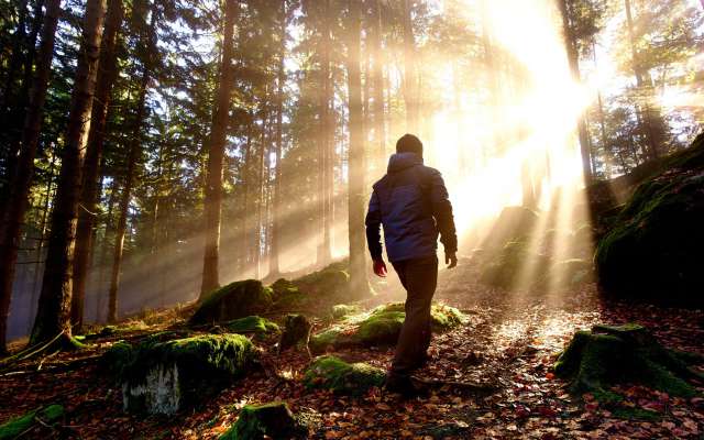 Wanderurlaub im bayerischen Wald
