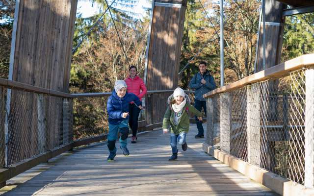 Familienausflug zum Baumwipfelpfad Bayerischer Wald