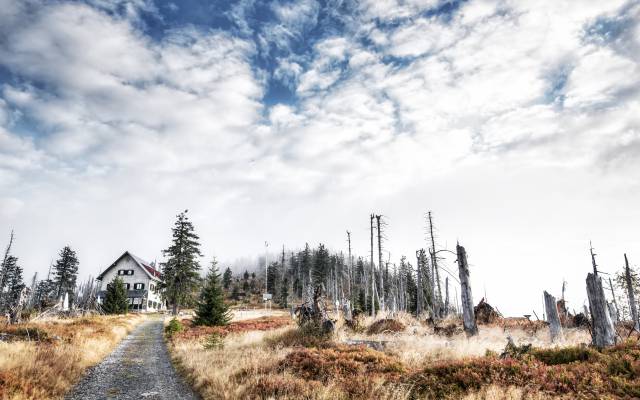 Slow Travel im Bayerischen Wald