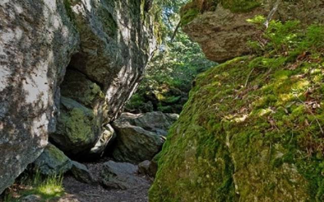 Familienwanderung auf dem Rundweg „Haselhuhn“