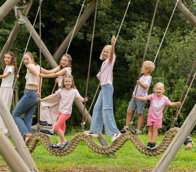 Glückliche Kinder auf der Kletterschaukel