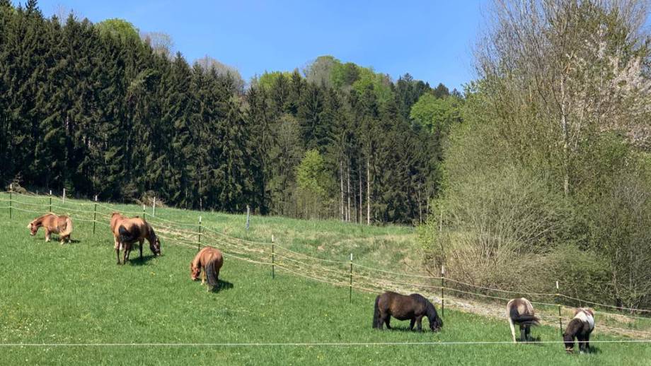 Symbolfoto