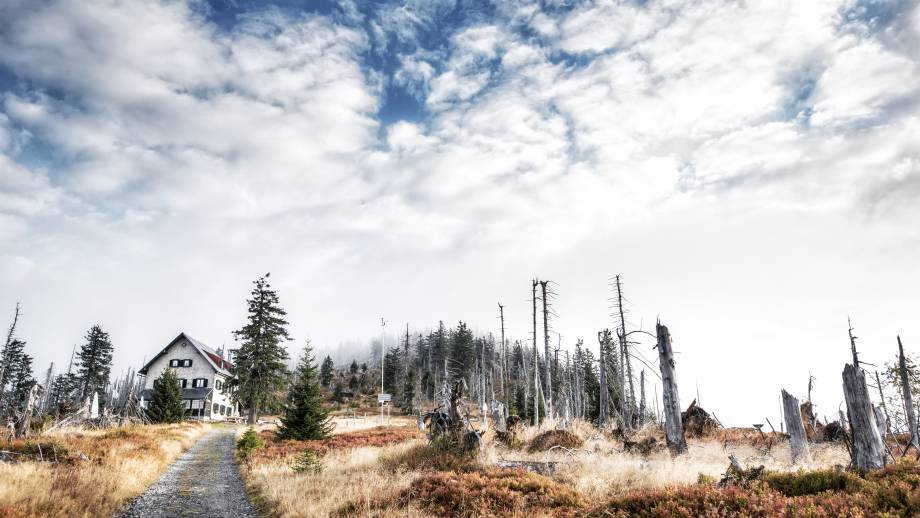 Slow Travel im Bayerischen Wald Symbolfoto