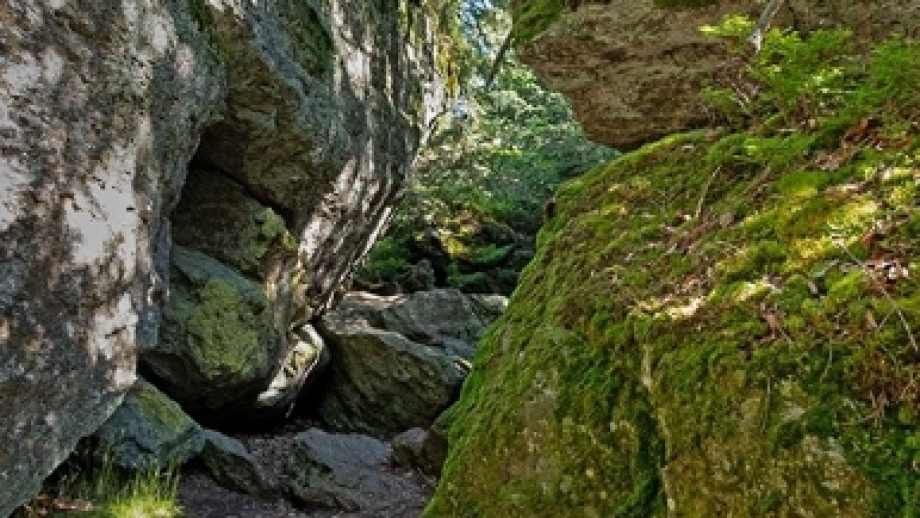 Familienwanderung auf dem Rundweg „Haselhuhn“ Symbolfoto