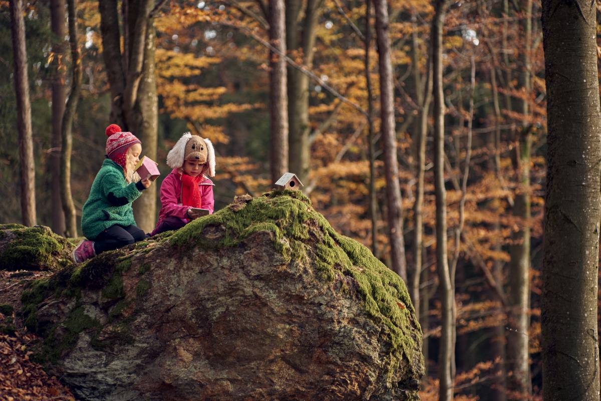 Kinder auf einem Stein im Wald