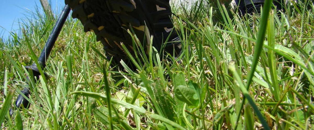 Nordic Walking Detailbild Schuhe und Gras