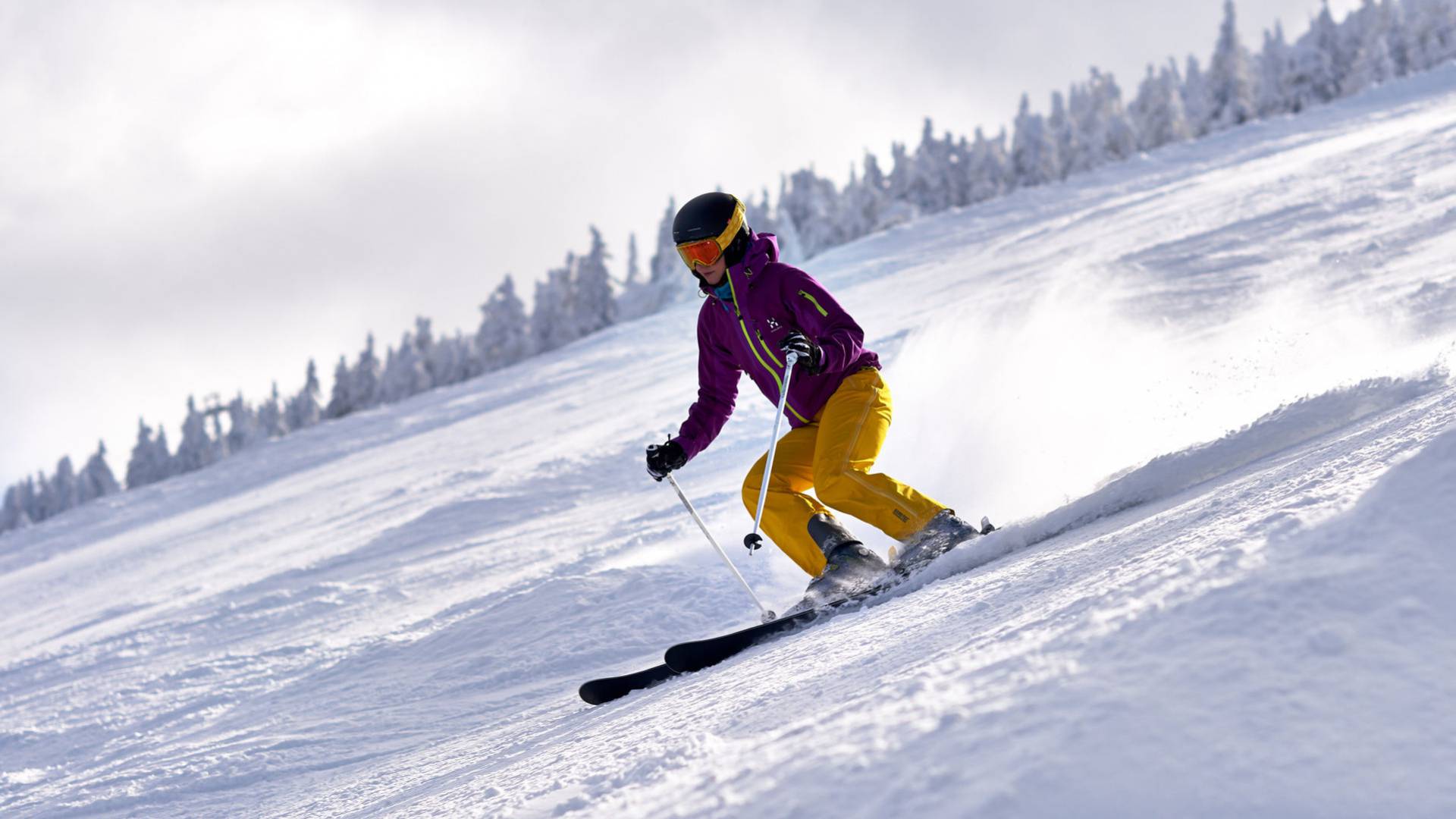 Skifahren im bayerischen Wald