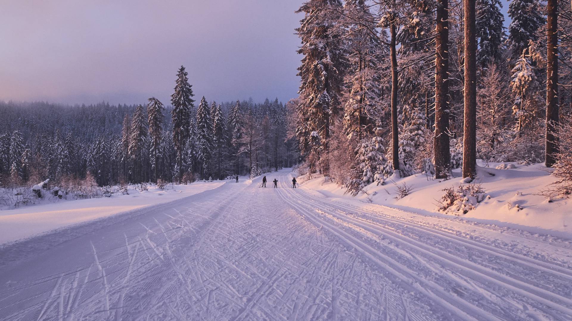 Langlaufen mit der Familie im bayerischen Wald