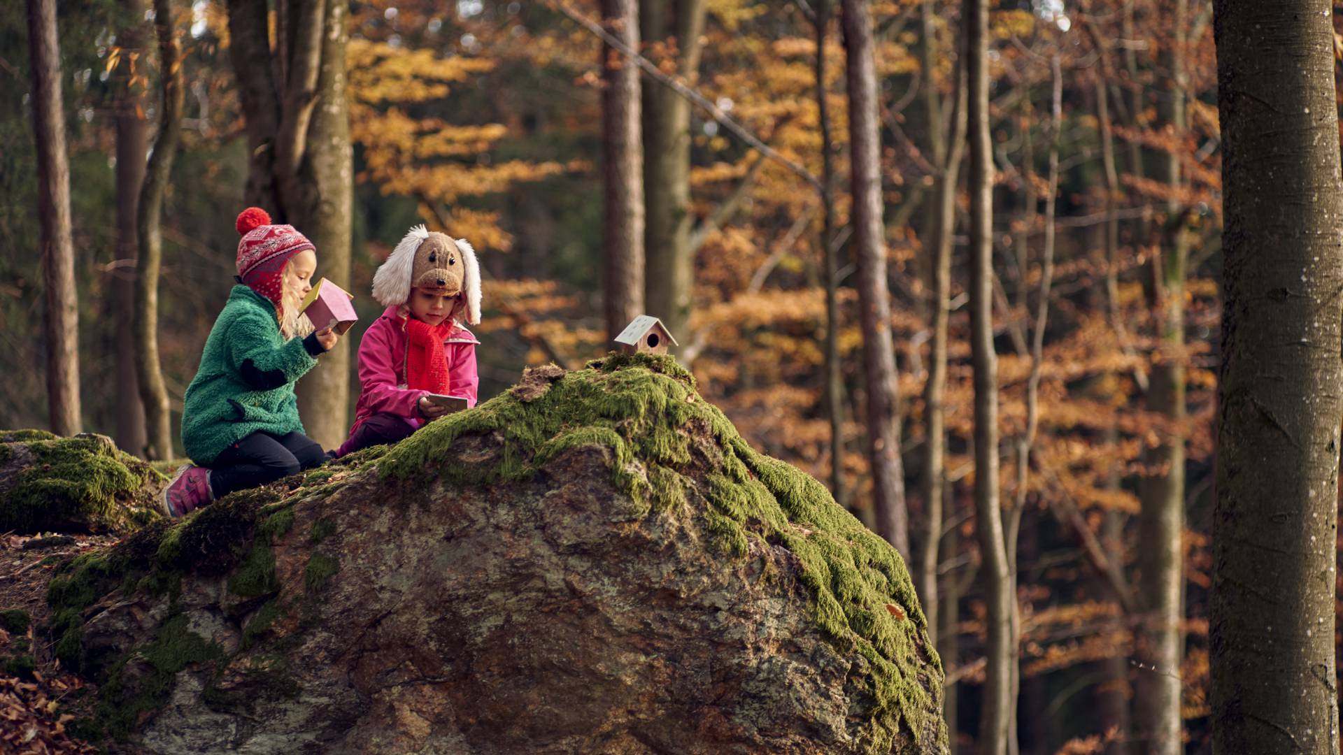 Kinder auf einem Stein im Wald