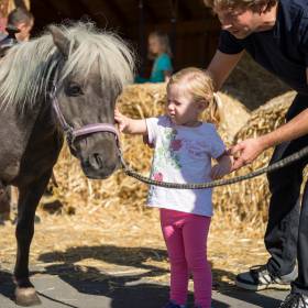 Mädchen streichelt Pony auf dem Bauernhof im Familienhotel Schreinerhof