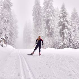 Langlaufen bei Schneefall im bayerischen Wald