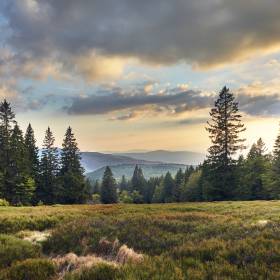 Sonnenaufgang im bayerischen Wald