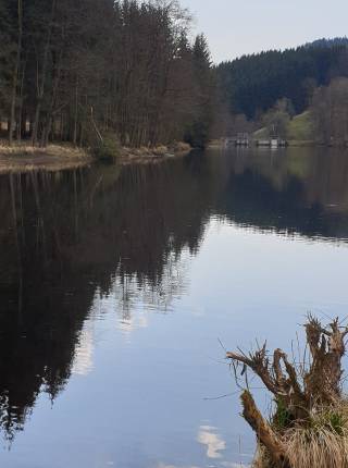 Ein echter Geheimtip für Wanderer - der Hartmannsreiter Stausee Symbolfoto