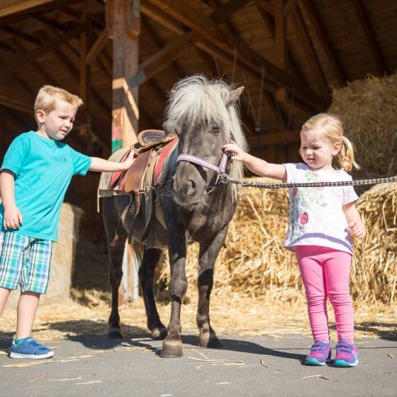 Reiturlaub für alle Pferdeliebhaber! image #1