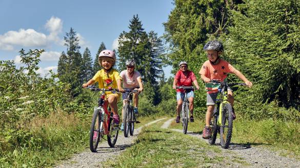 Familie beim Radfahren im bayerischen Wald