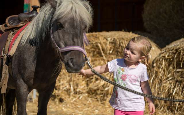 Mädchen streichelt Pony auf dem Bauernhof des Familienhotels Schreinerhof