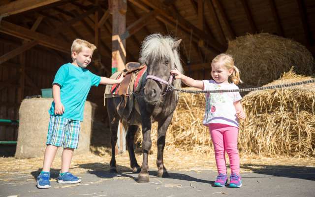 Kinder beim Ponyreiten im Familienhotel Schreinerhof