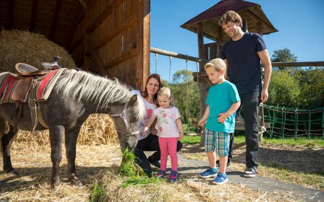 Familie schaut Pony beim fressen zu