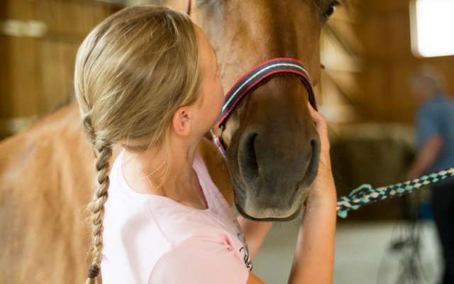 Mädchen umarmt ein Pferd am Kopf