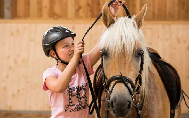 Reiten in unserer Reithalle