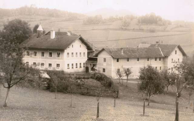 Schreinerhof (alt)