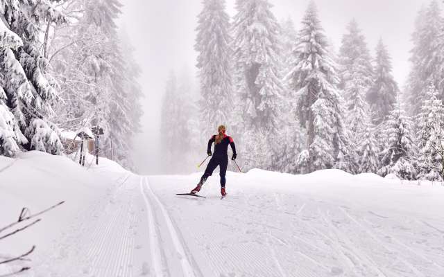 Langlaufen im bayerischen Wald