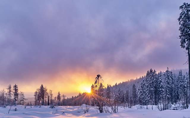 Familien-Winterurlaub im bayerischen Wald