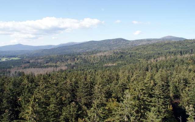 Aussicht vom Baumwipfelpfad Bayerischer Wald