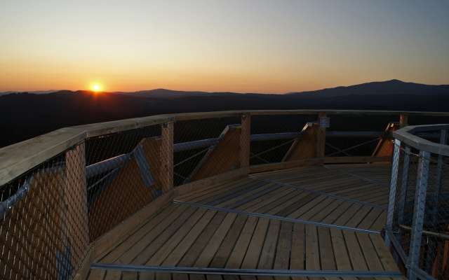 Ausblick bei Sonnenuntergang vom Baumwipfelpfad Bayerischer Wald