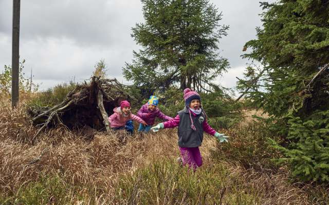 Kinder spielen im bayerischen Wald
