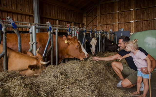 Vater mit Tochter bei den Kühen im Erlebnisbauernhof im Familienhotel Schreinerhof