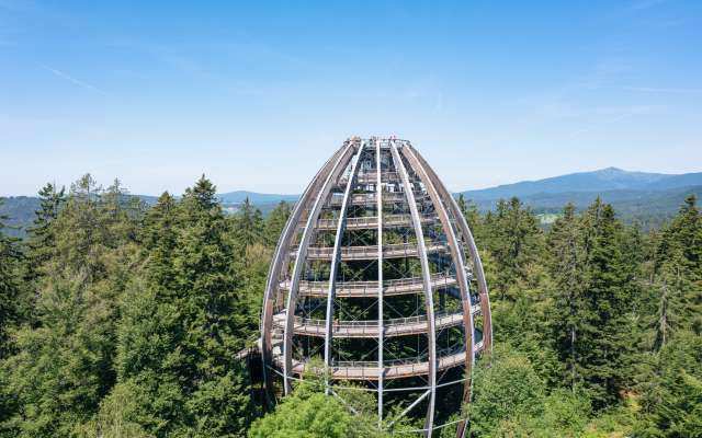 Baumwipfelpfad Bayerischer Wald