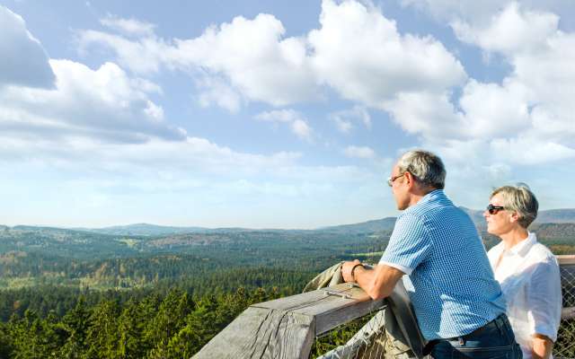 Ausblick vom Baumwipfelpfad Bayerischer Wald