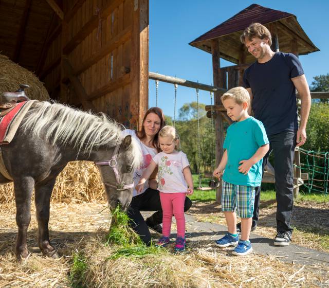 Familienurlaub wie auf dem Bauernhof im Familienhotel Schreinerhof
