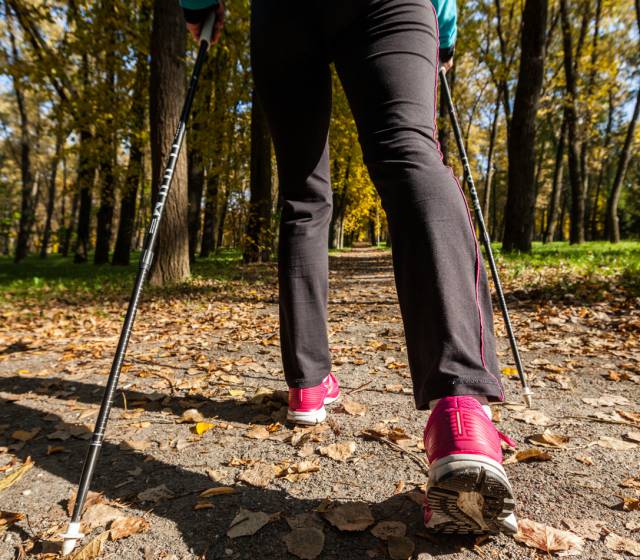 Nordic Walking durch den bayerischen Wald