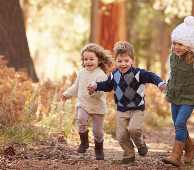 Kinder spielen im bayerischen Wald